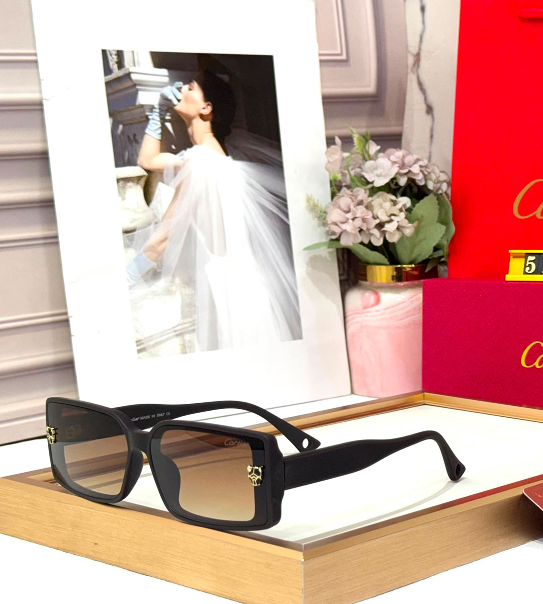 CRT Luxury Premium Women 5105 Wayfarers