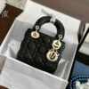 Black-Gold