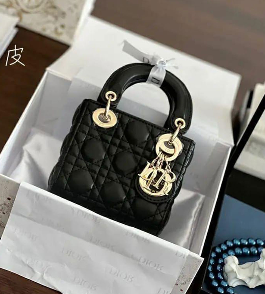 Lady DR Mini Handbag