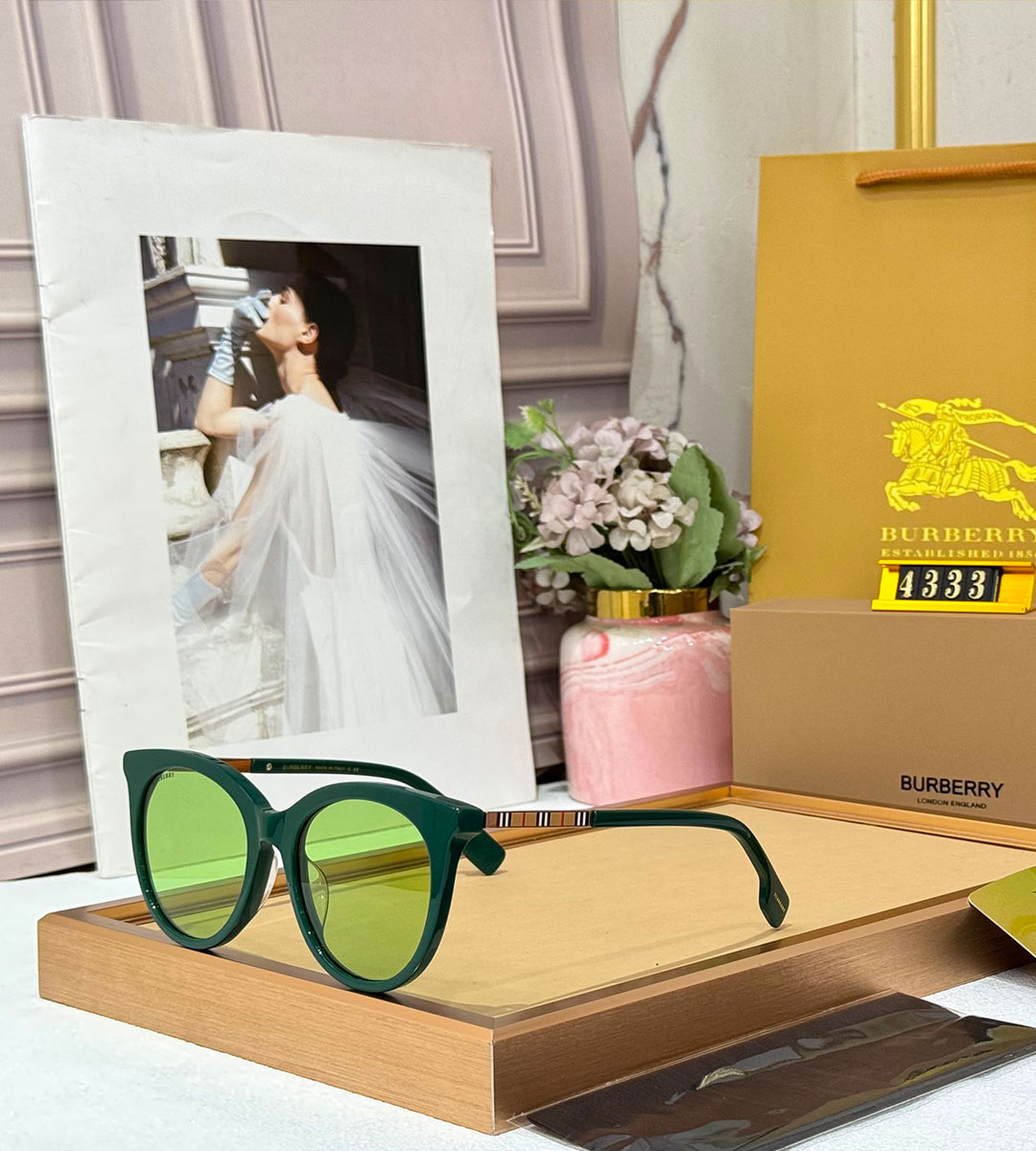 BB Premium Luxury 4333 Women Wayfarers