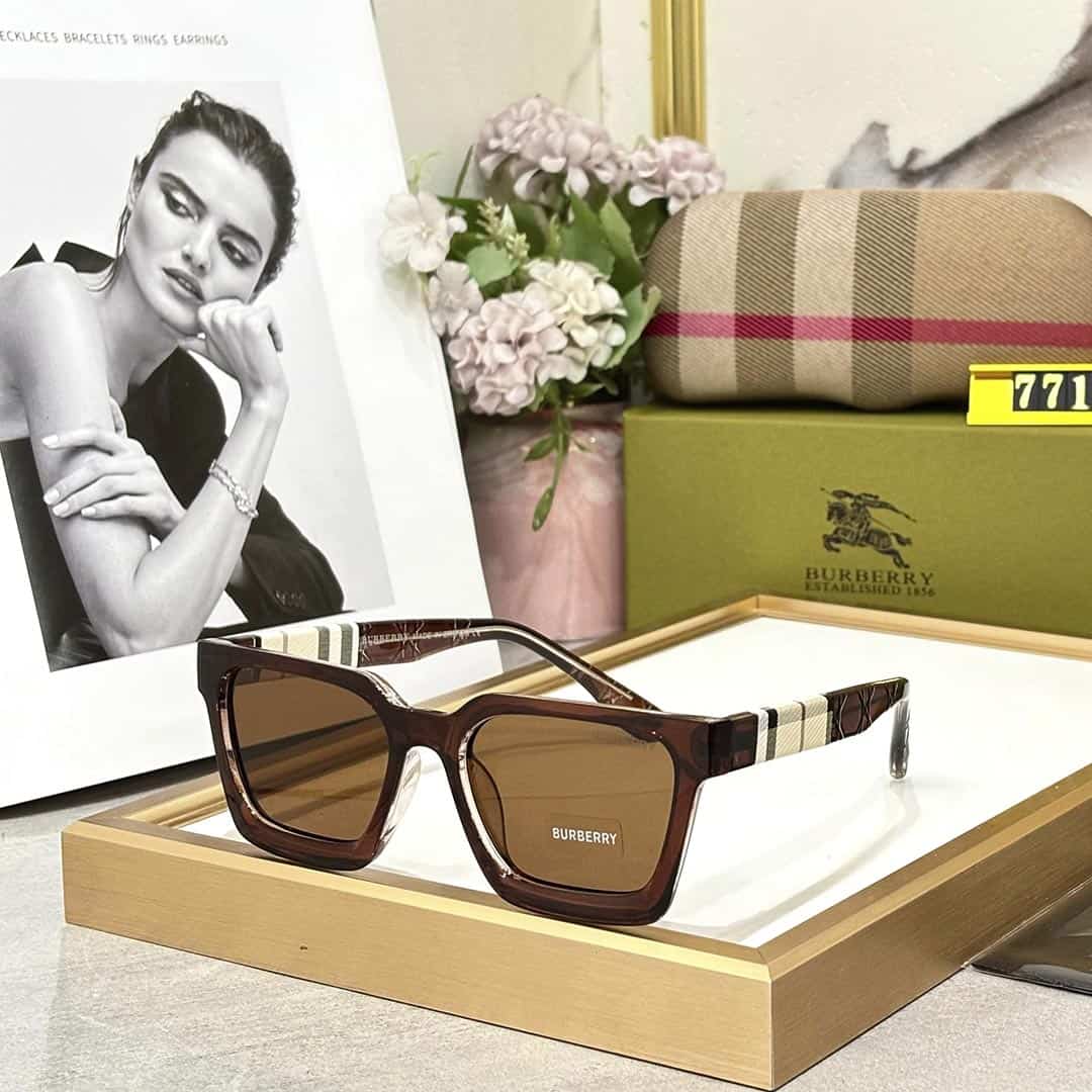 BB PREMIUM LUXURY 7717 WAYFARERS
