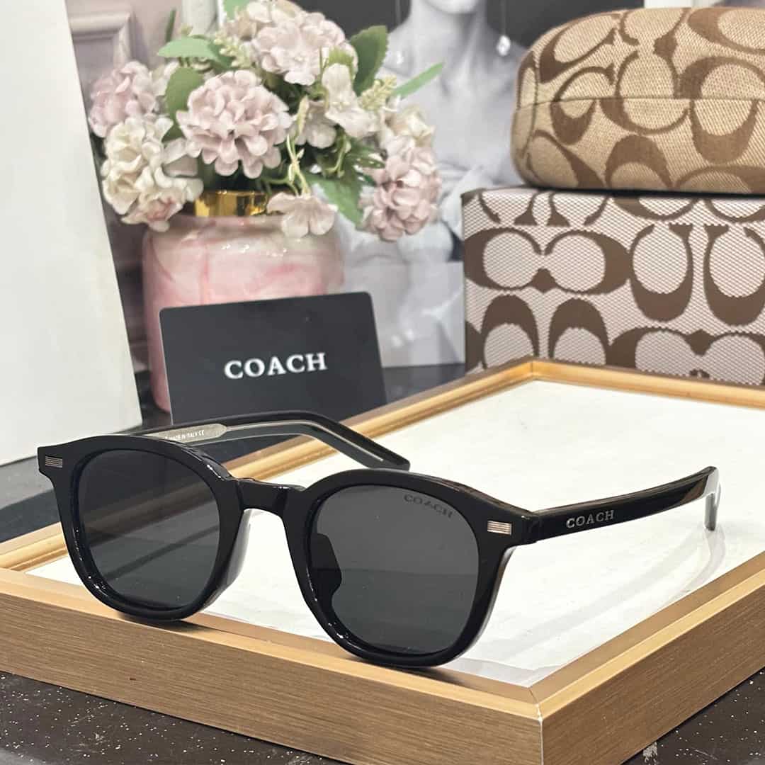Alternative view of CH Luxury Unisex Wayfarers