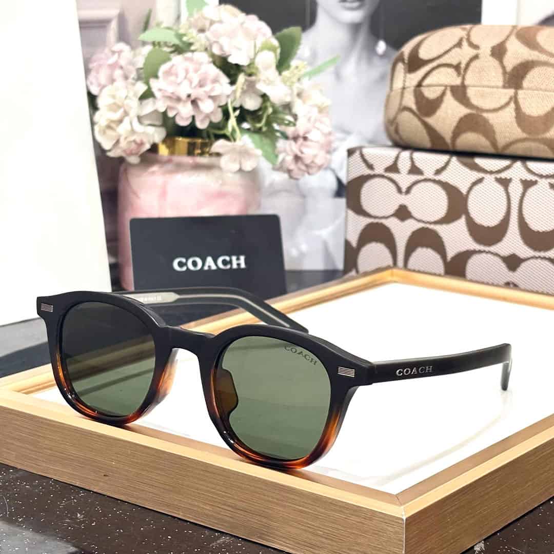 CH Luxury Unisex Wayfarers